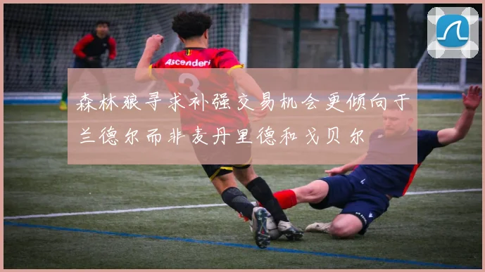 森林狼寻求补强交易机会更倾向于兰德尔而非麦丹里德和戈贝尔